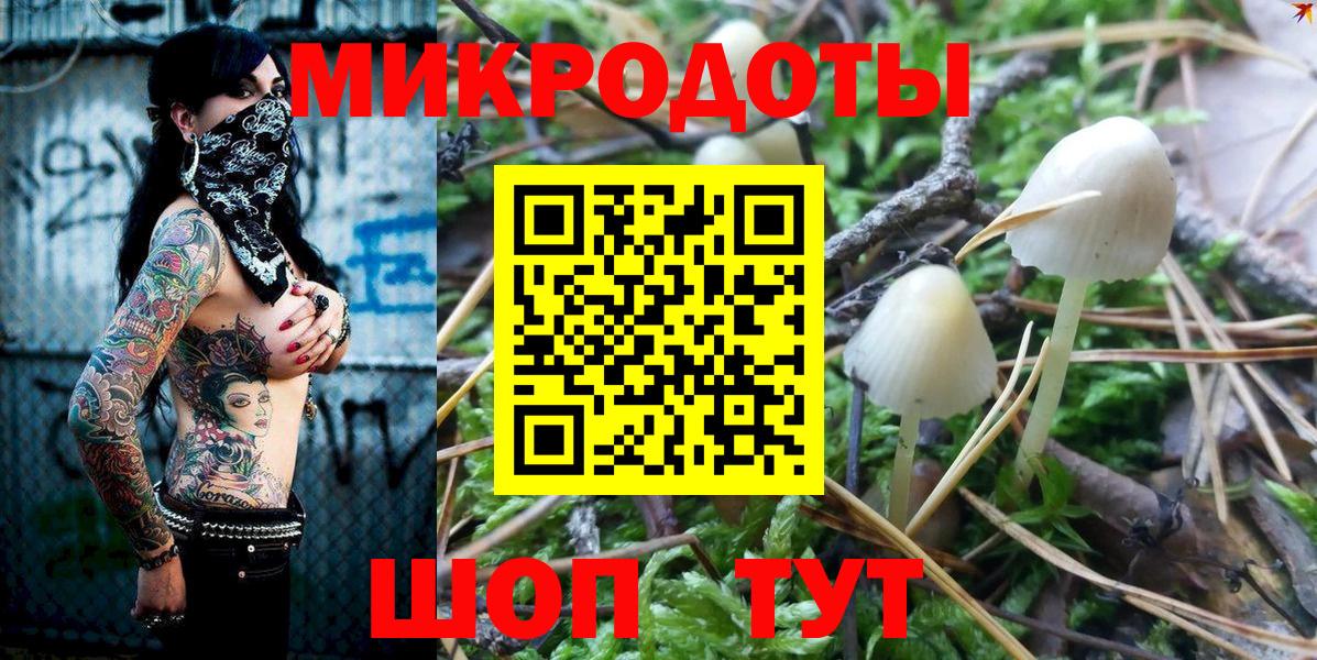 Галлюциногенные грибы Psilocybine cubensis Тулун